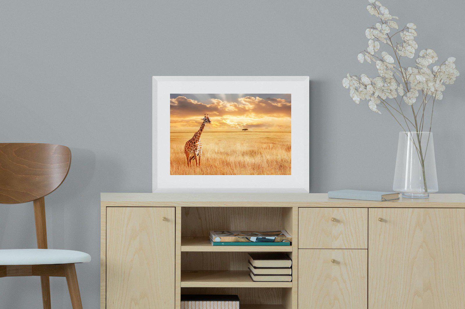 Giraffe Sunset-Wall_Art-60 x 45cm-Framed Print-White-Pixalot
