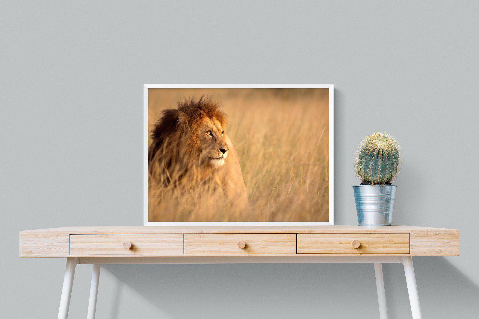 King-Wall_Art-80 x 60cm-Mounted Canvas-White-Pixalot