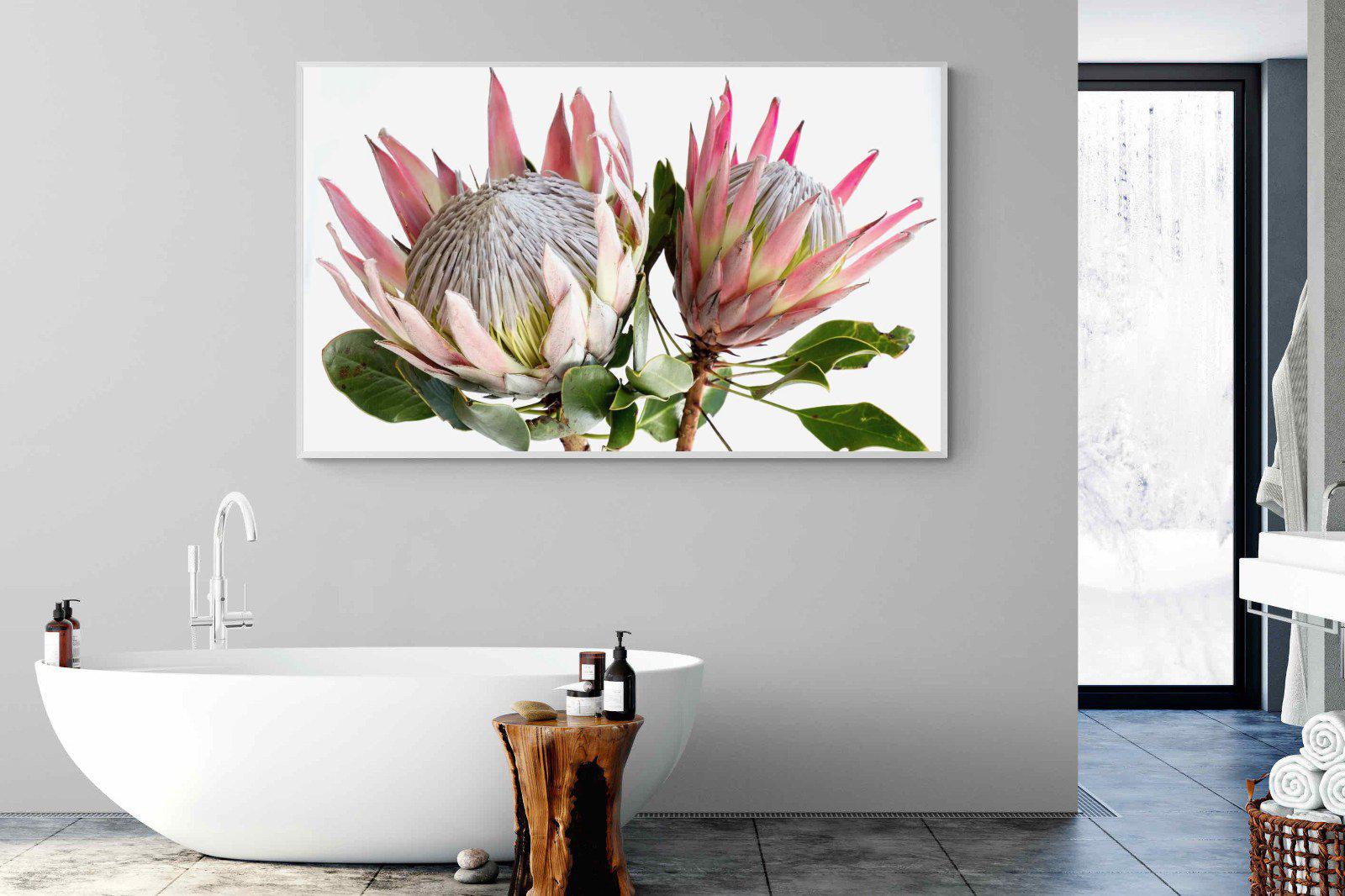 King Proteas-Wall_Art-180 x 110cm-Mounted Canvas-White-Pixalot