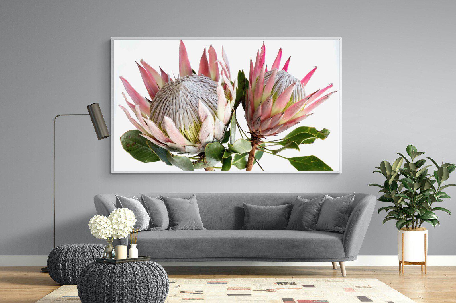 King Proteas-Wall_Art-220 x 130cm-Mounted Canvas-White-Pixalot