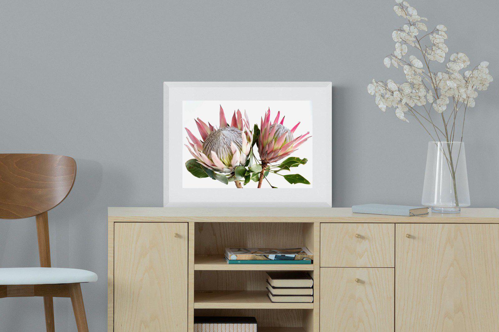 King Proteas-Wall_Art-Pixalot