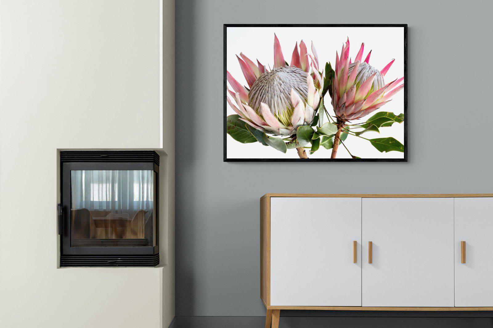 King Proteas-Wall_Art-Pixalot