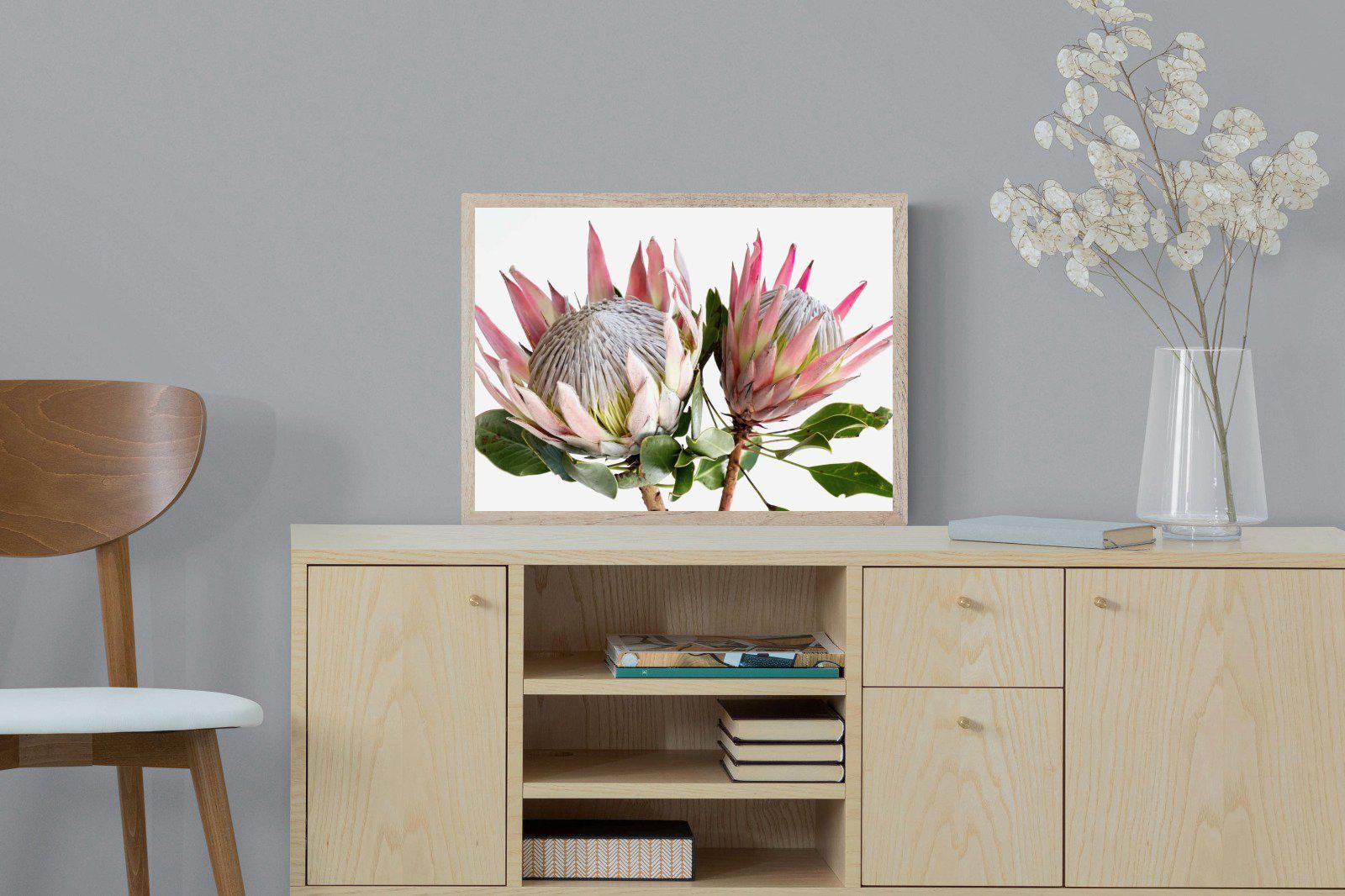 King Proteas-Wall_Art-Pixalot