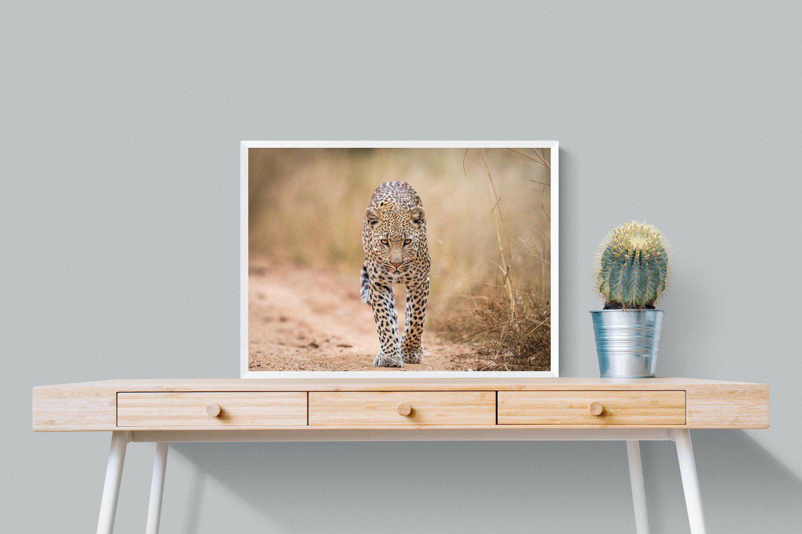 Leopard-Wall_Art-80 x 60cm-Mounted Canvas-White-Pixalot