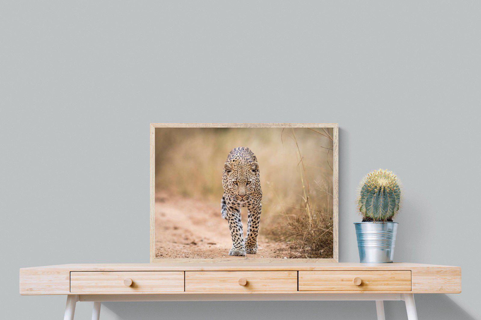 Leopard-Wall_Art-80 x 60cm-Mounted Canvas-Wood-Pixalot