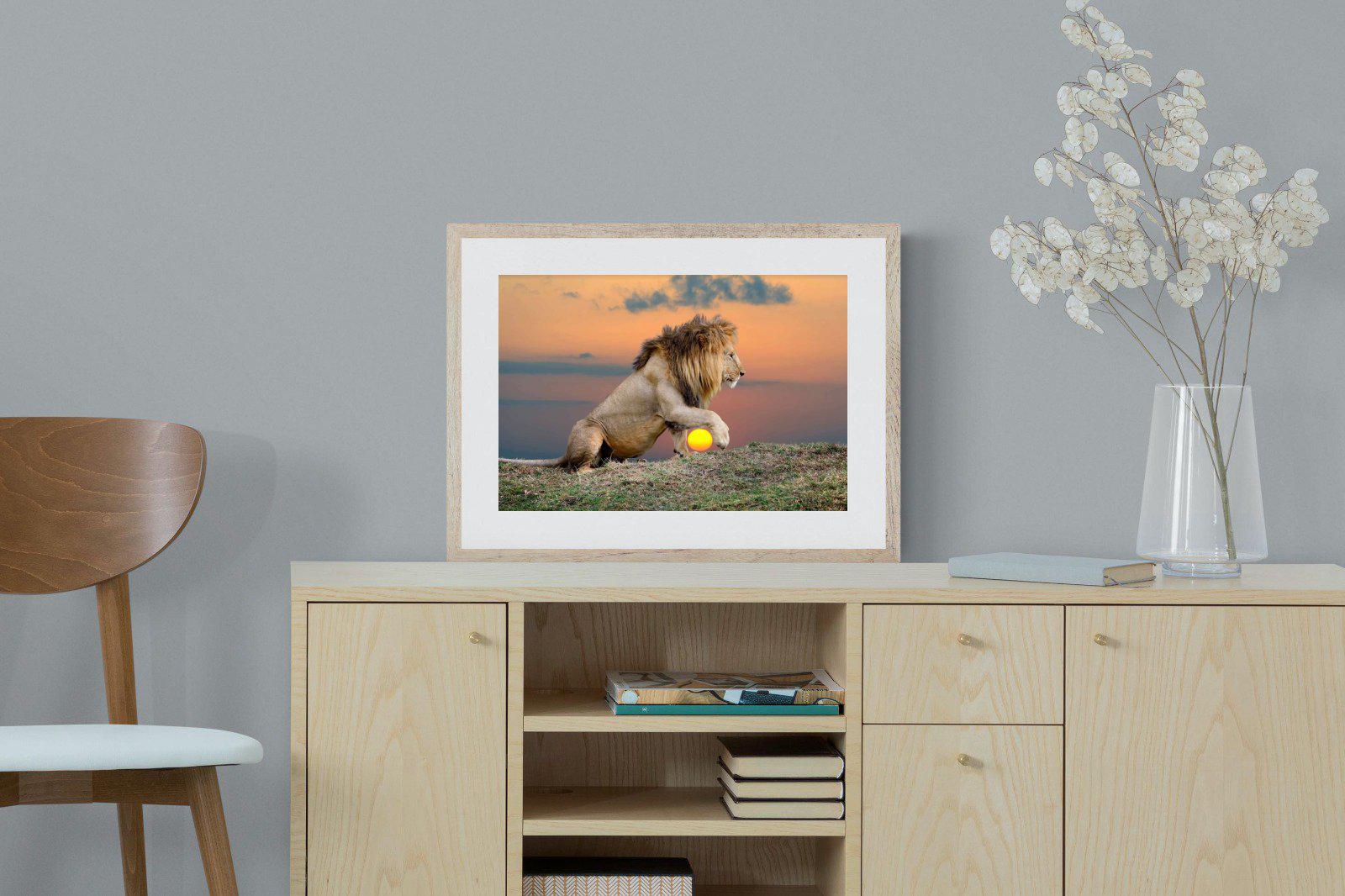Lion Sunset-Wall_Art-60 x 45cm-Framed Print-Wood-Pixalot