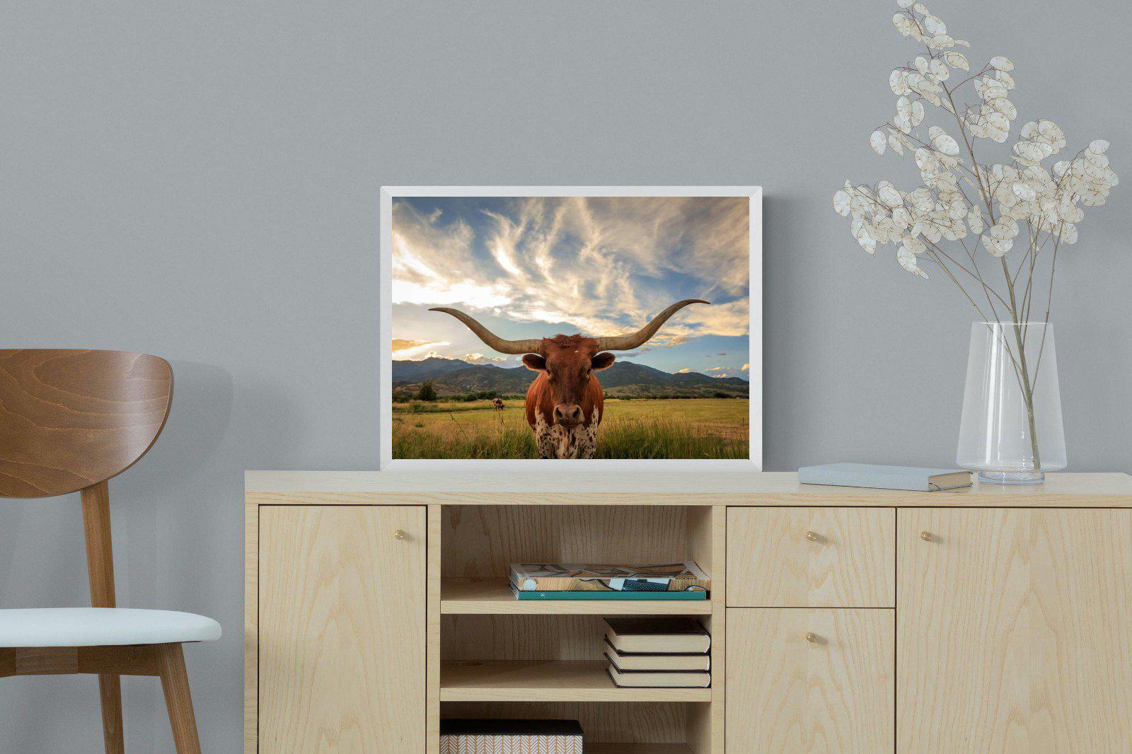 Long Horn-Wall_Art-60 x 45cm-Mounted Canvas-White-Pixalot