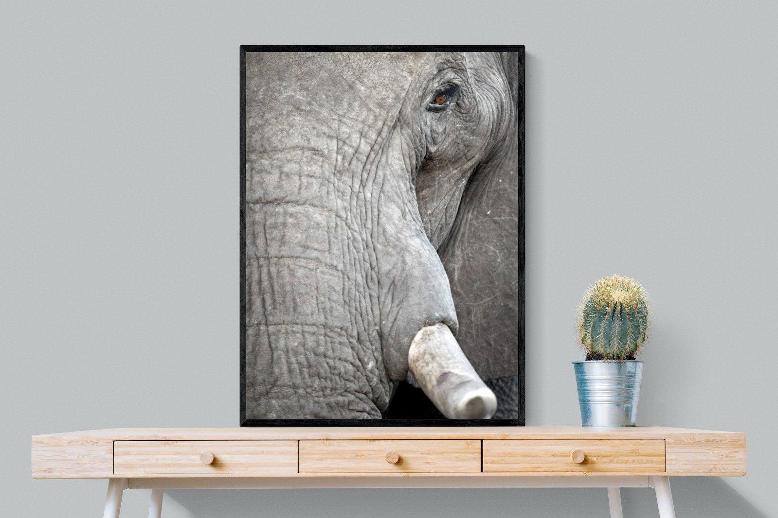 Matriarch-Wall_Art-75 x 100cm-Mounted Canvas-Black-Pixalot