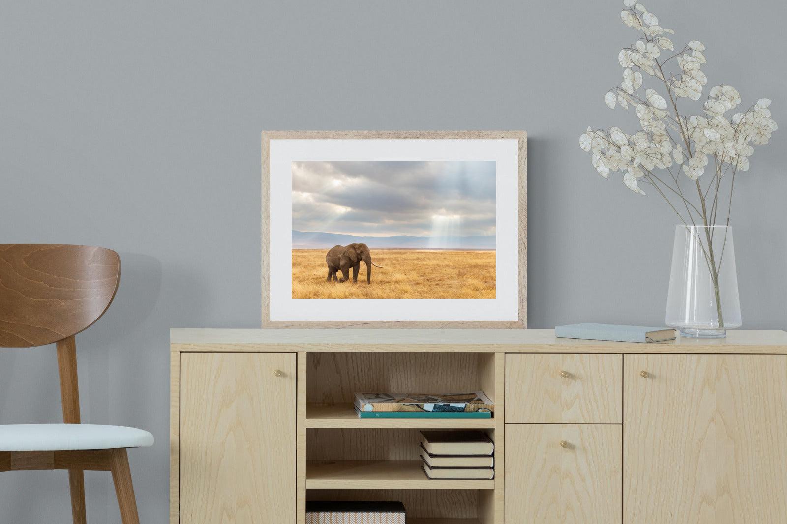 Ngorongoro Ele-Wall_Art-60 x 45cm-Framed Print-Wood-Pixalot