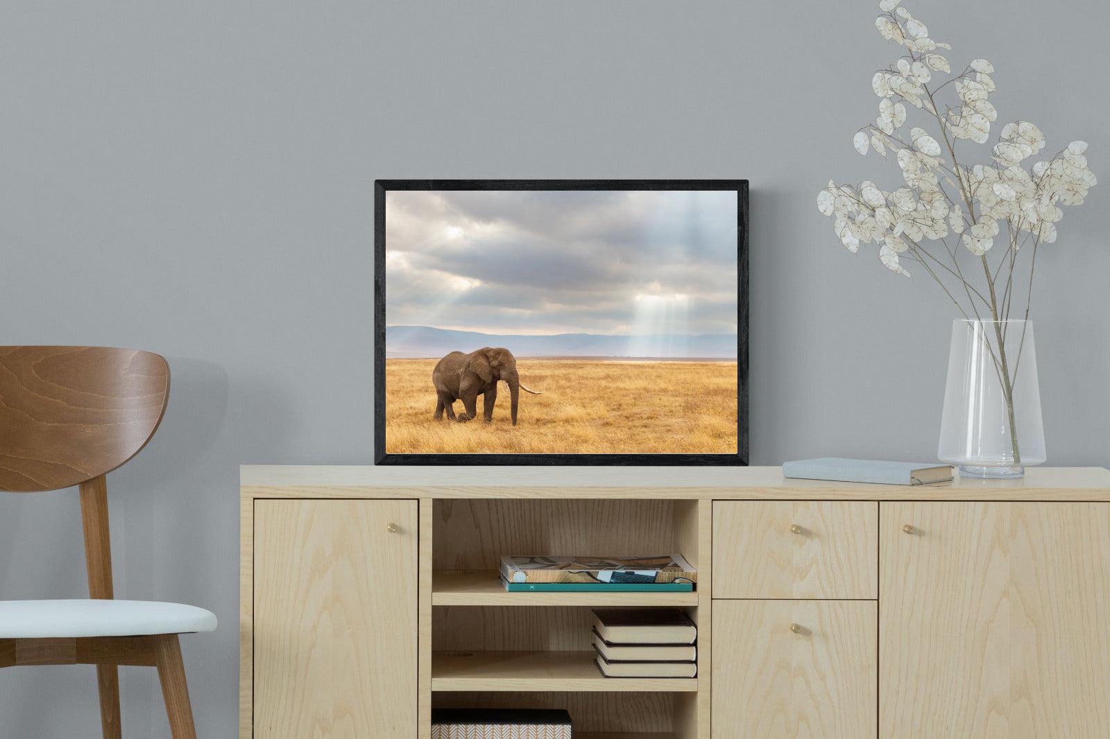 Ngorongoro Ele-Wall_Art-60 x 45cm-Mounted Canvas-Black-Pixalot