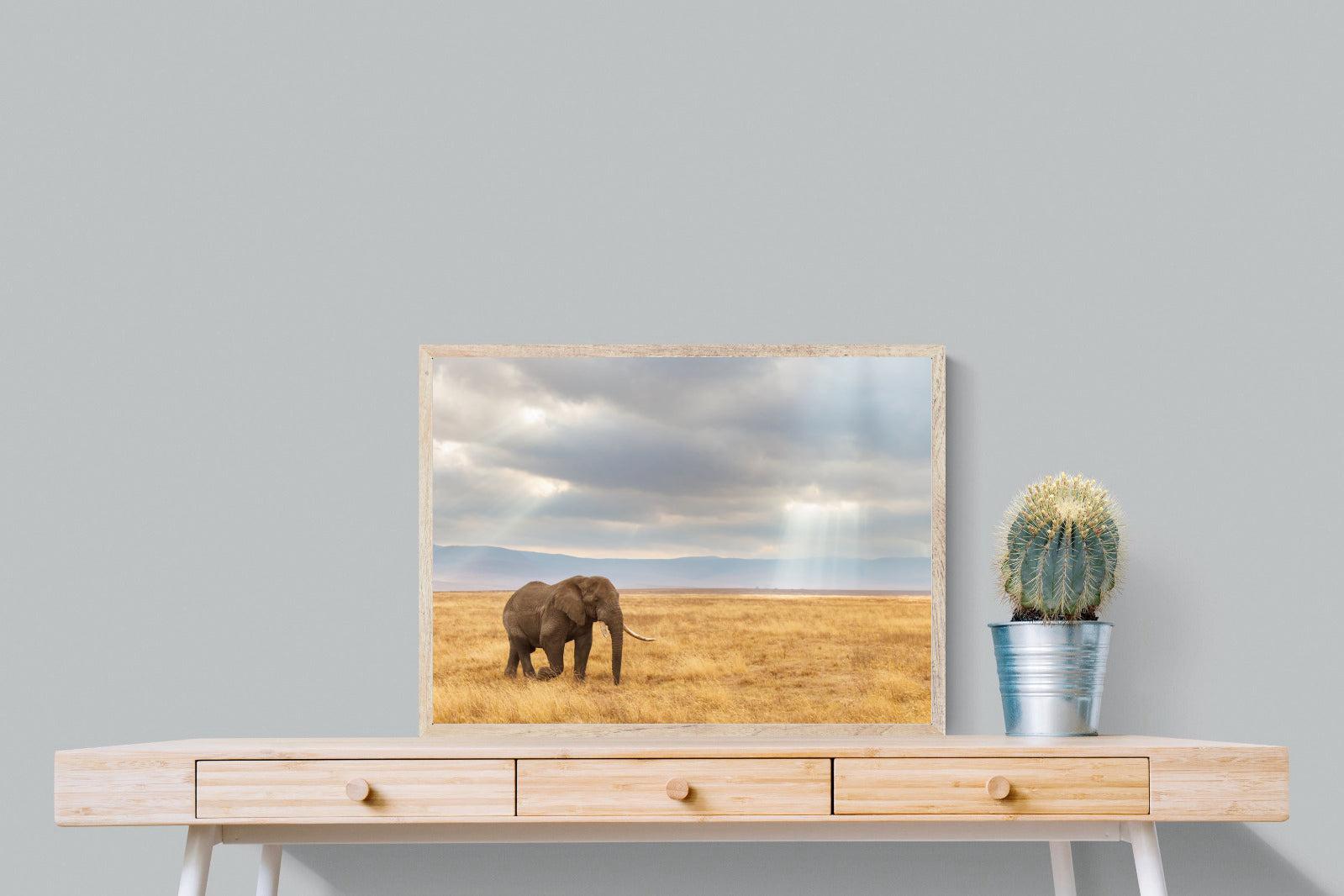 Ngorongoro Ele-Wall_Art-80 x 60cm-Mounted Canvas-Wood-Pixalot