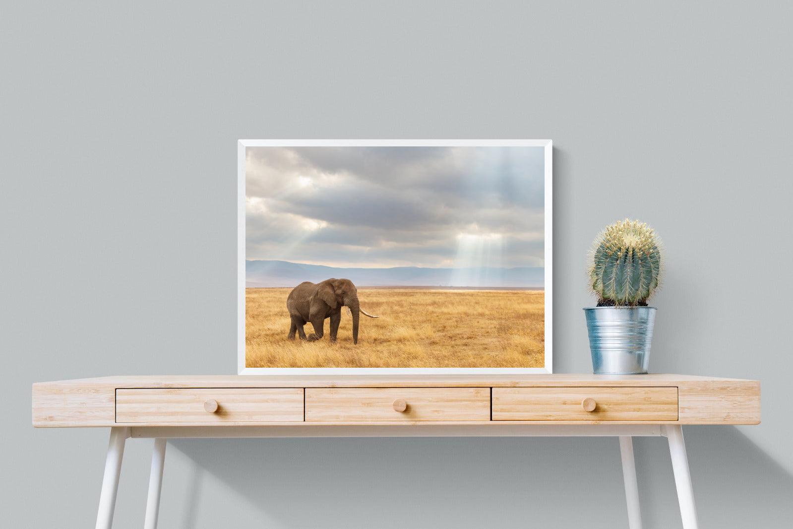 Ngorongoro Ele-Wall_Art-80 x 60cm-Mounted Canvas-White-Pixalot
