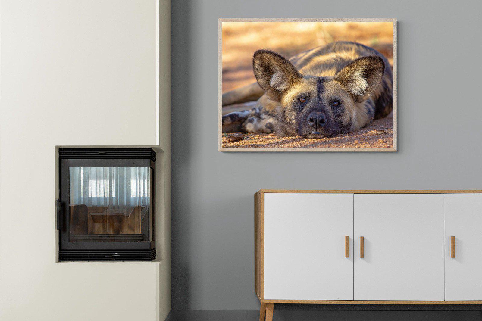 Not So Wild Dog-Wall_Art-100 x 75cm-Mounted Canvas-Wood-Pixalot