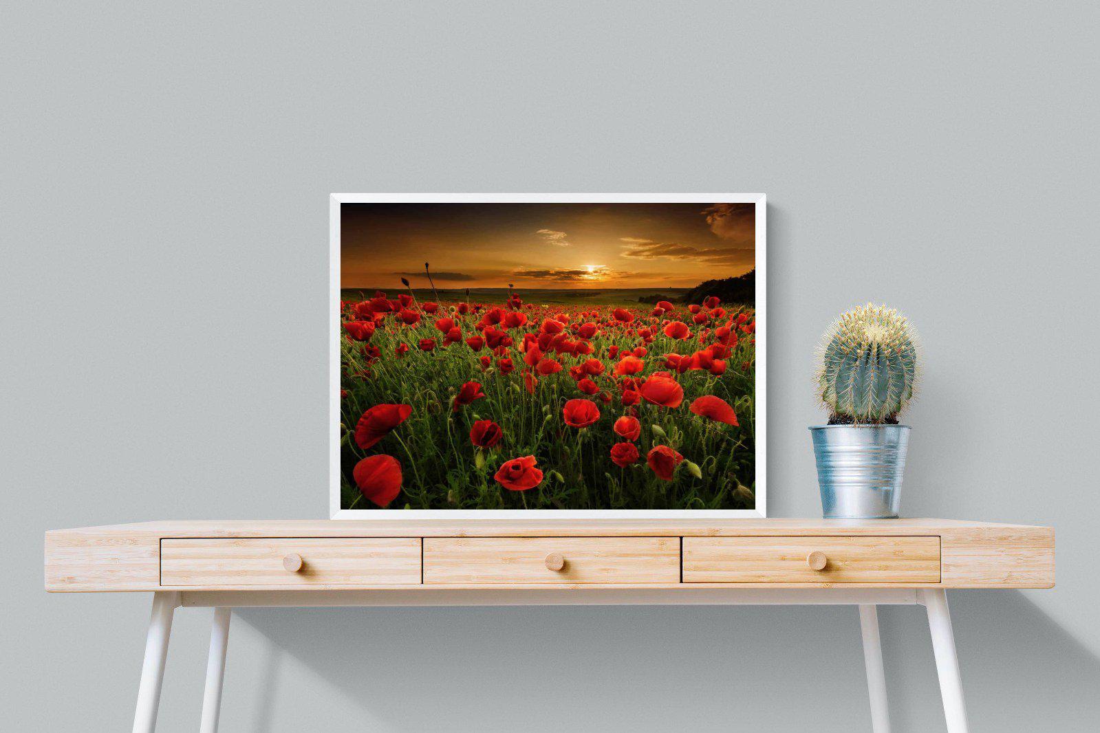 Poppy Fields-Wall_Art-80 x 60cm-Mounted Canvas-White-Pixalot