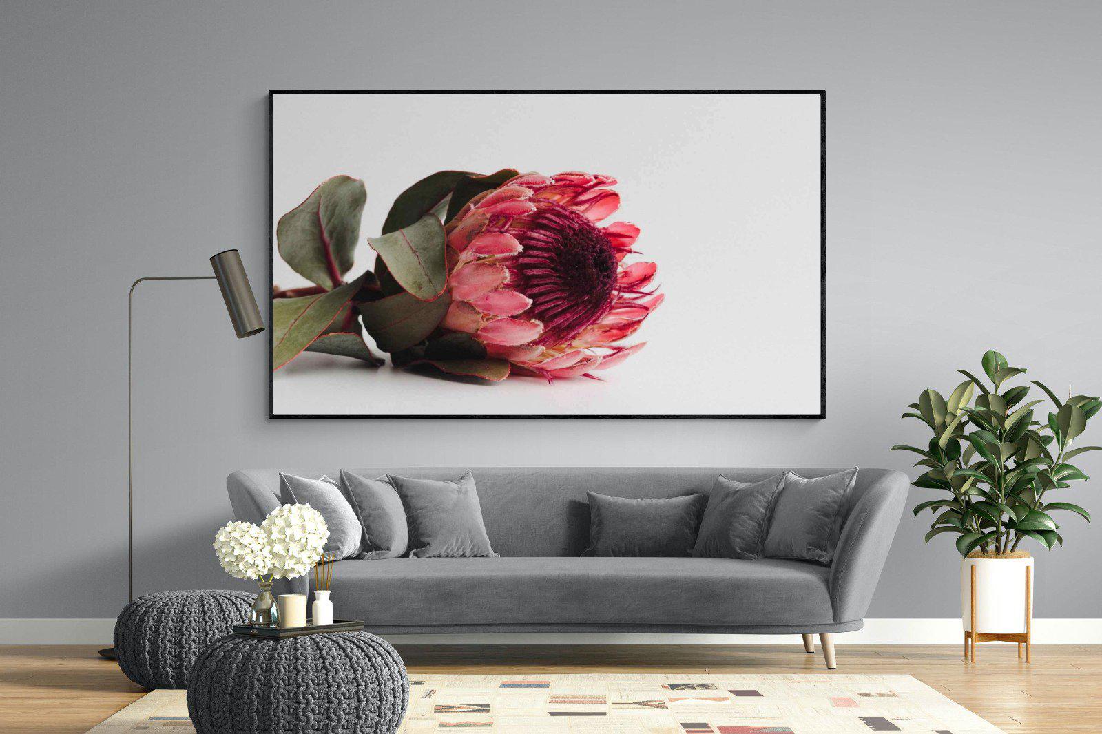 Resting Protea-Wall_Art-220 x 130cm-Mounted Canvas-Black-Pixalot