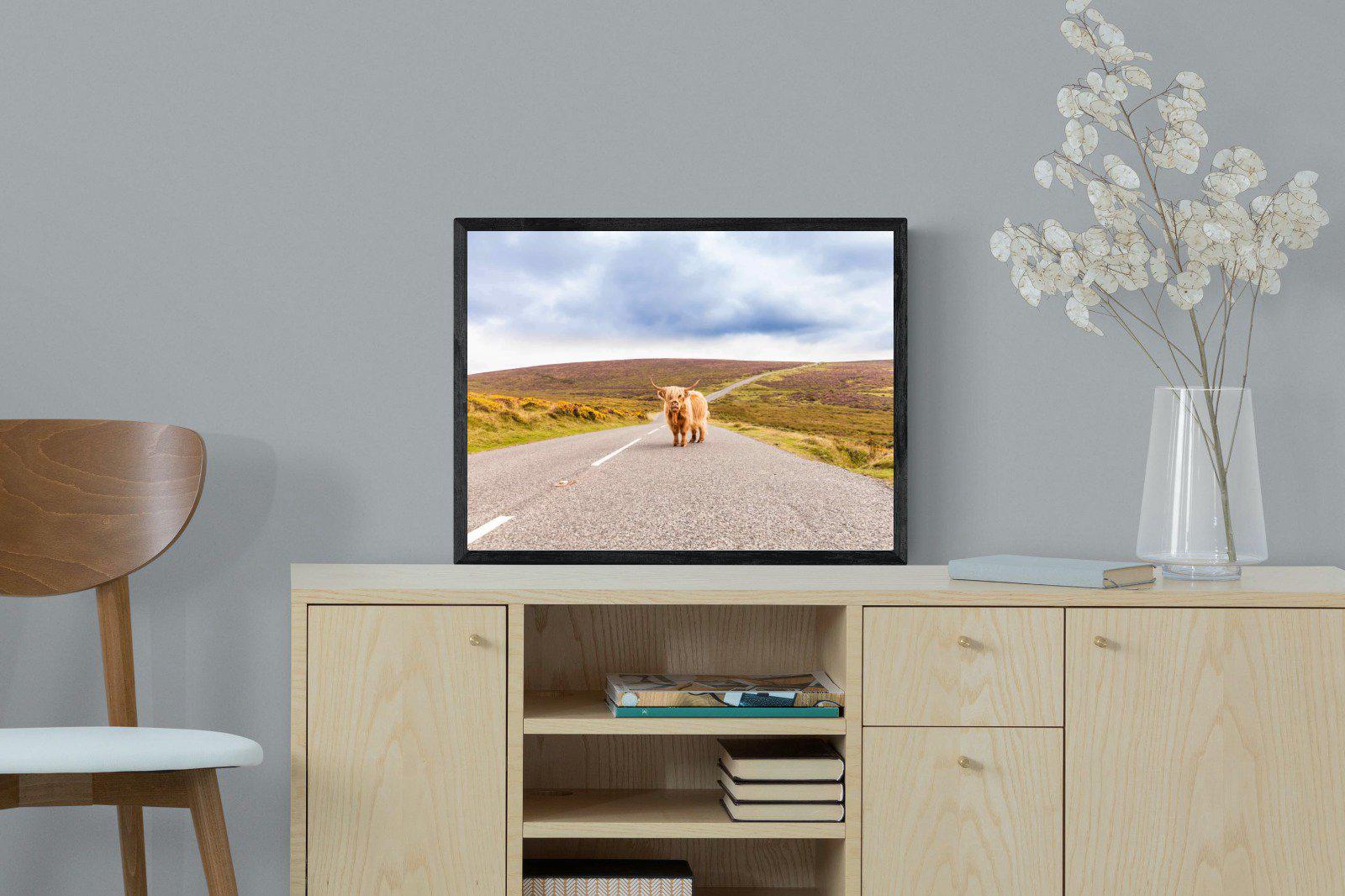 Scottish Highland Cow-Wall_Art-60 x 45cm-Mounted Canvas-Black-Pixalot