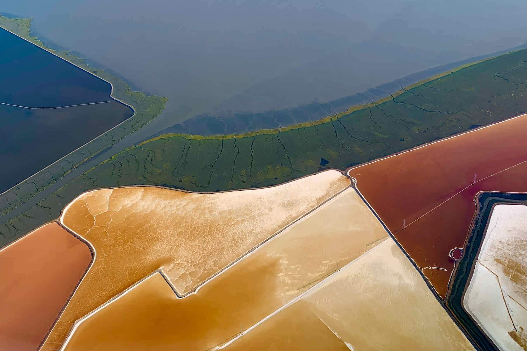 Shapes of Nature-Wall_Art-Pixalot