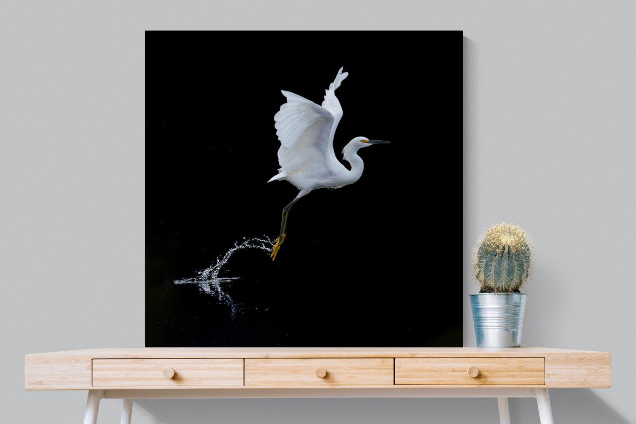 Take to the Air-Wall_Art-100 x 100cm-Mounted Canvas-No Frame-Pixalot