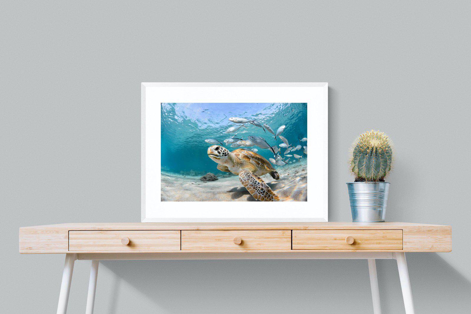 Turtle-Wall_Art-80 x 60cm-Framed Print-White-Pixalot