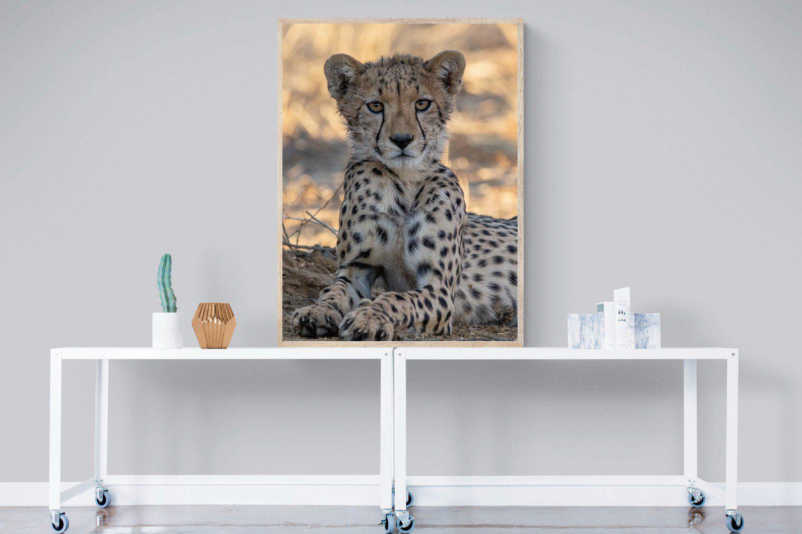 Young Cheetah-Wall_Art-90 x 120cm-Mounted Canvas-Wood-Pixalot