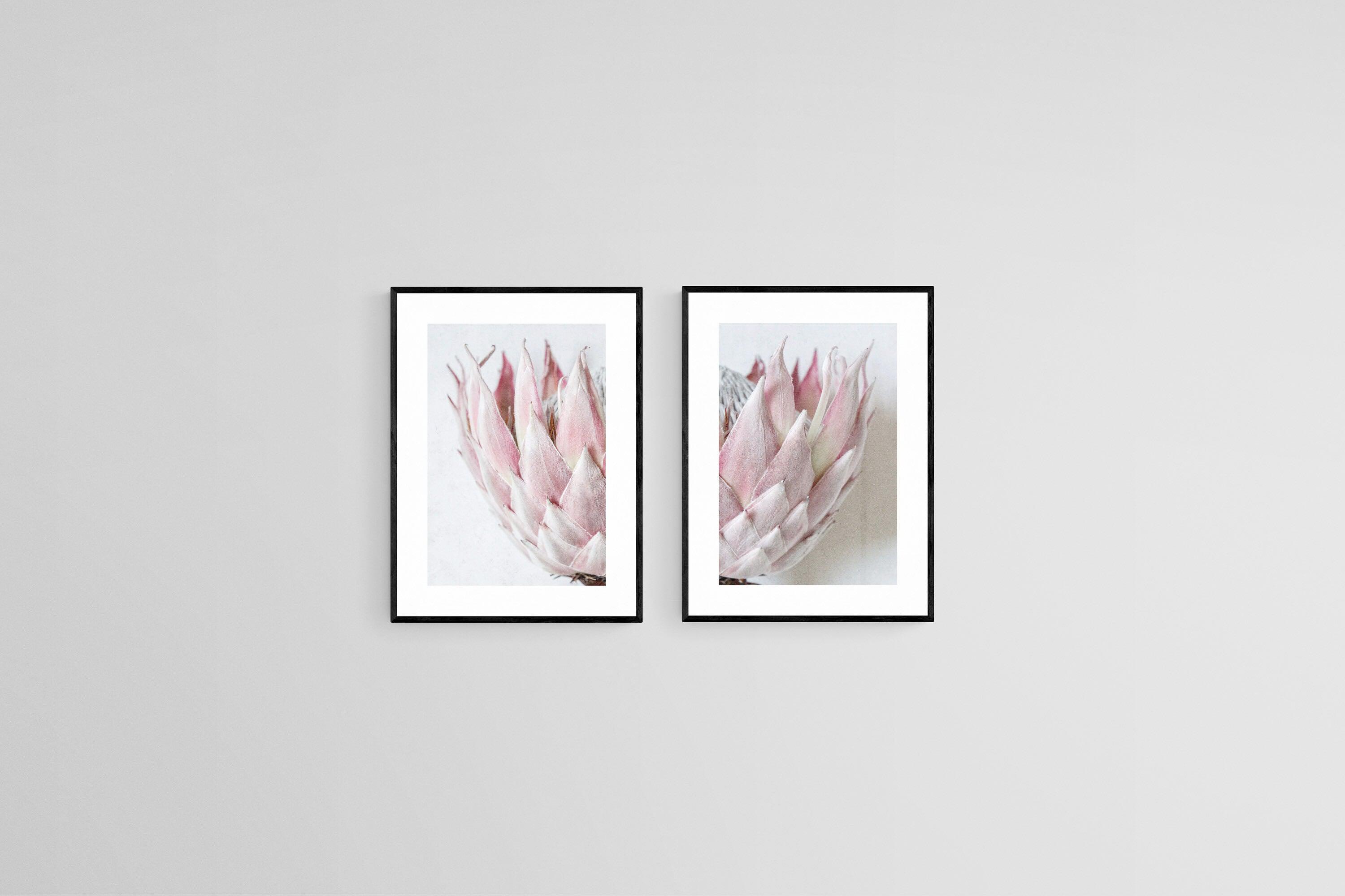Pink King Protea Set-Wall_Art-45 x 60cm (x2)-Framed Print-Black-Pixalot