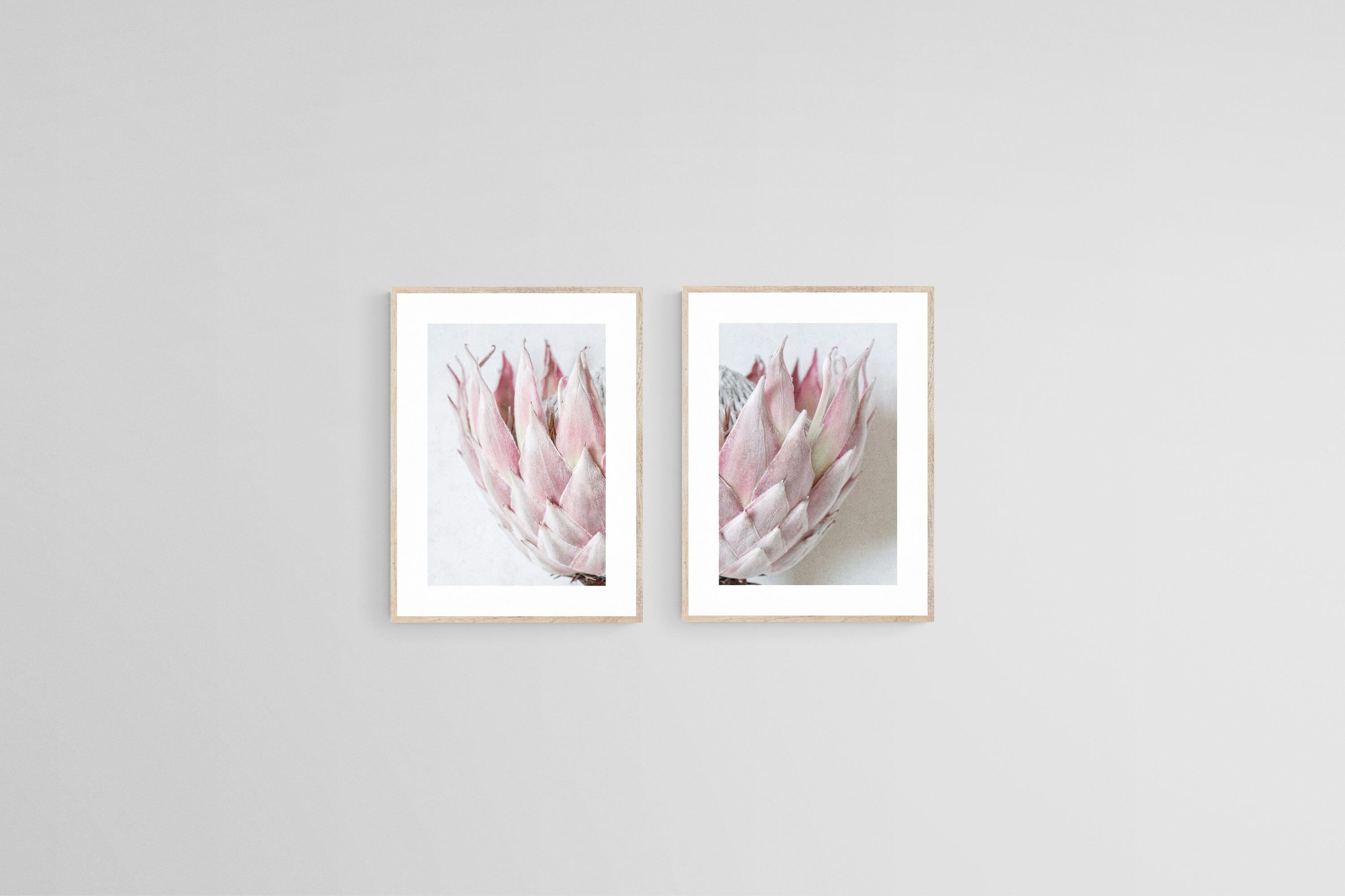 Pink King Protea Set-Wall_Art-45 x 60cm (x2)-Framed Print-Wood-Pixalot