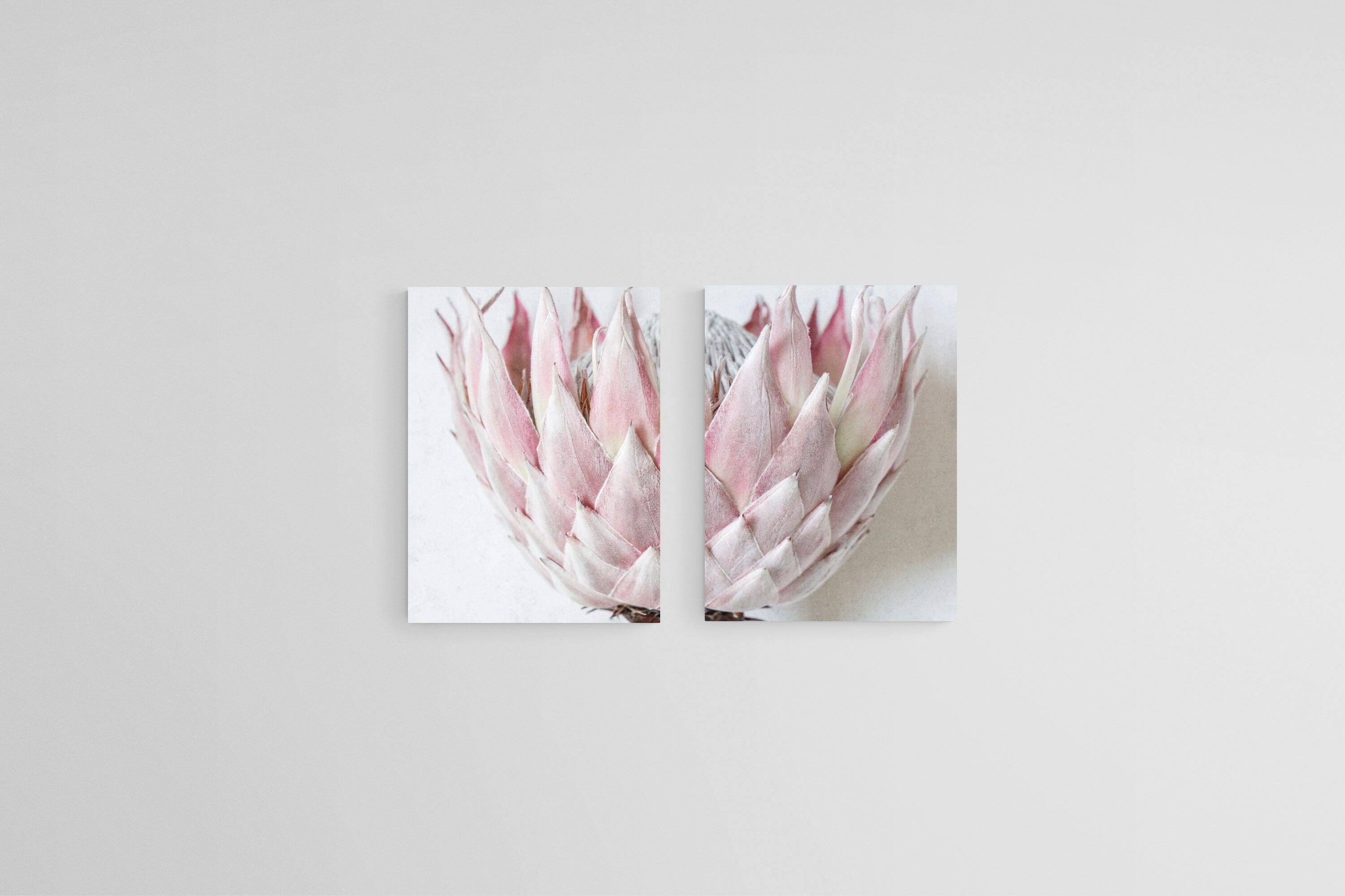 Pink King Protea Set-Wall_Art-45 x 60cm (x2)-Mounted Canvas-No Frame-Pixalot