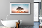 Acacia Cover-Wall_Art-180 x 110cm-Framed Print-Black-Pixalot