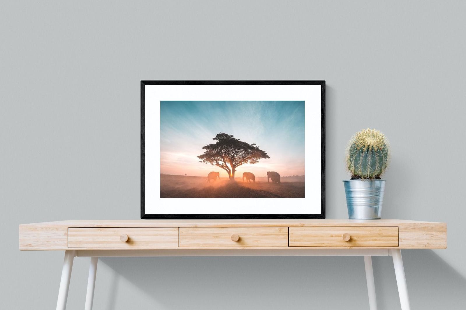 Acacia Cover-Wall_Art-80 x 60cm-Framed Print-Black-Pixalot