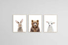 Adorable Trio Set-Wall_Art-45 x 60cm (x3)-Mounted Canvas-Wood-Pixalot