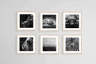 African Animals Set-Wall_Art-30 x 30cm (x6)-Framed Print-Wood-Pixalot