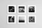 African Animals Set-Wall_Art-30 x 30cm (x6)-Framed Print-White-Pixalot