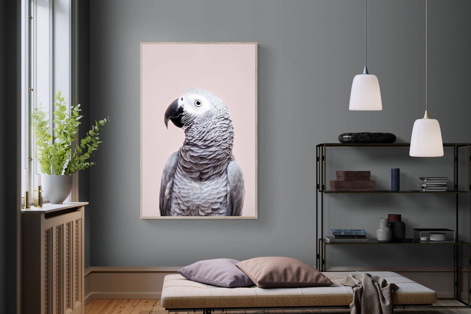 Pixalot African Grey