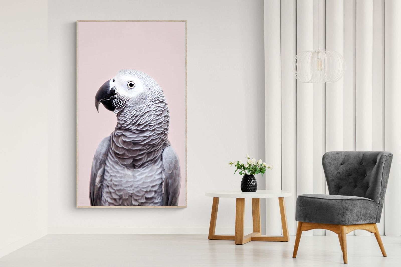 Pixalot African Grey