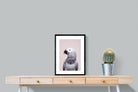 Pixalot African Grey