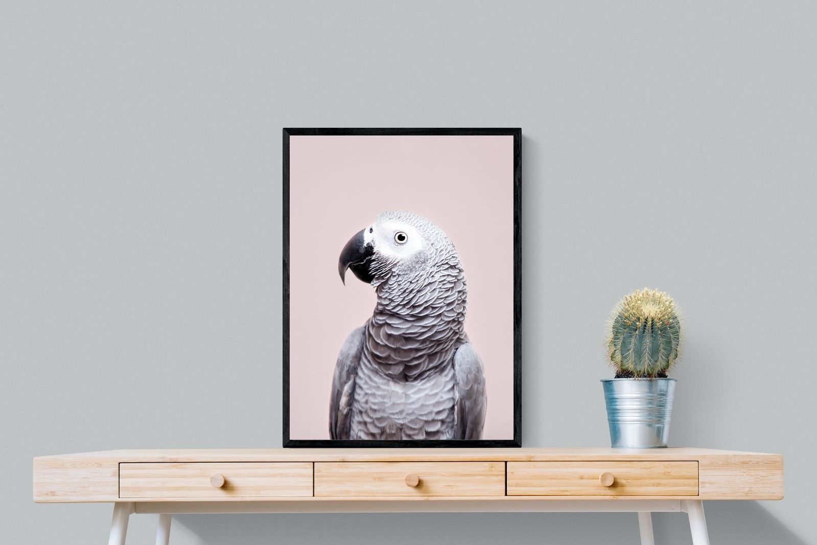 Pixalot African Grey