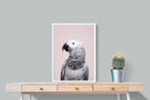 Pixalot African Grey