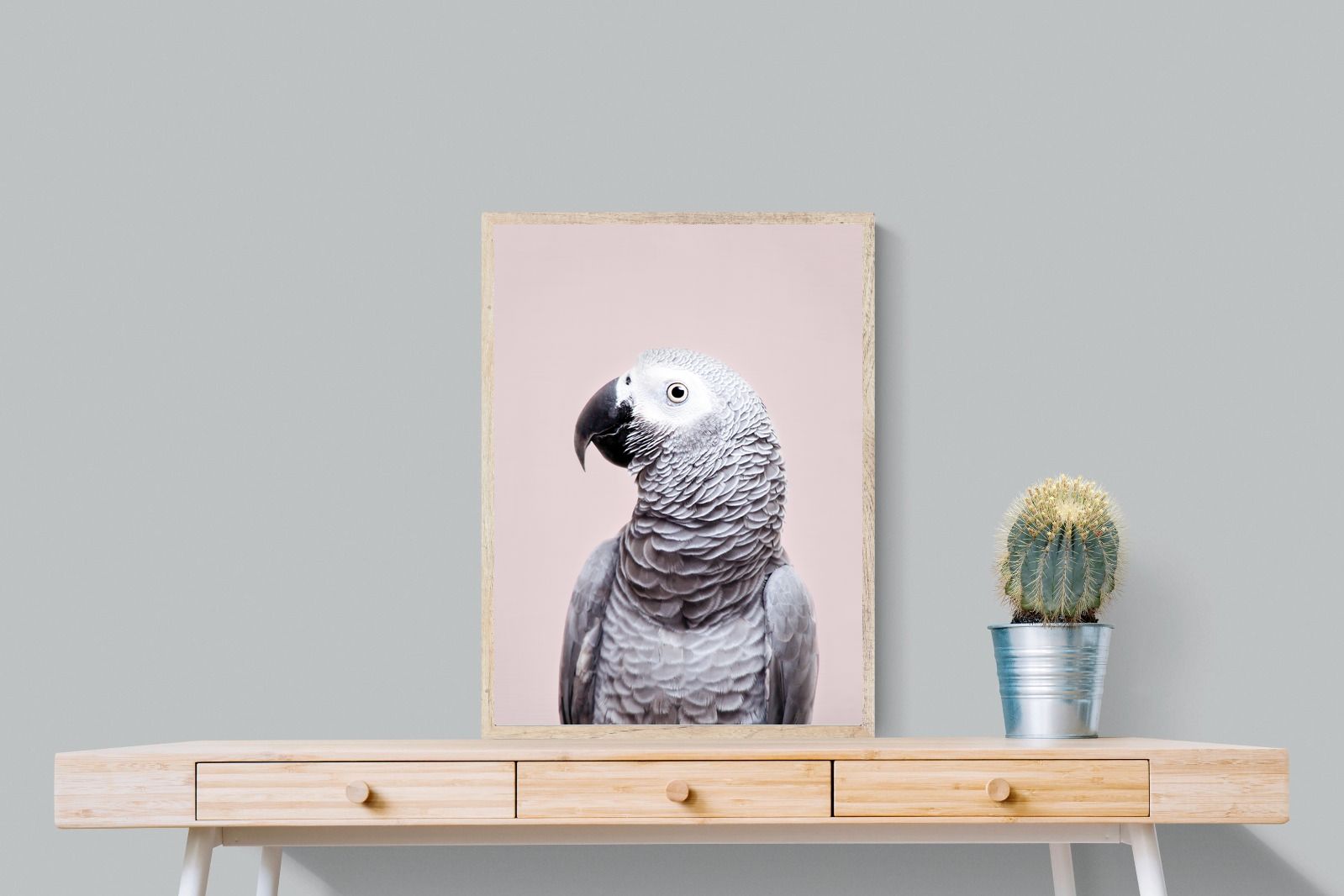 Pixalot African Grey