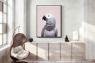 Pixalot African Grey