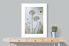 Pixalot Allium