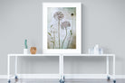 Pixalot Allium