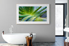 Aloe Vera-Wall_Art-180 x 110cm-Framed Print-Wood-Pixalot