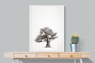 Baobab Legacy #1-Wall_Art-75 x 100cm-Mounted Canvas-White-Pixalot