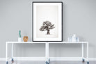 Baobab Legacy #1-Wall_Art-90 x 120cm-Framed Print-Black-Pixalot