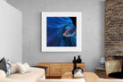 Pixalot Betta Fish
