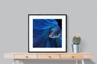 Pixalot Betta Fish