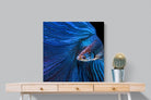 Pixalot Betta Fish