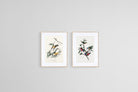 Birds of America Set-Wall_Art-45 x 60cm (x2)-Framed Print-Wood-Pixalot