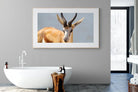 Bok-Wall_Art-180 x 110cm-Framed Print-Wood-Pixalot