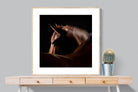 Bronze Mare-Wall_Art-100 x 100cm-Framed Print-Wood-Pixalot